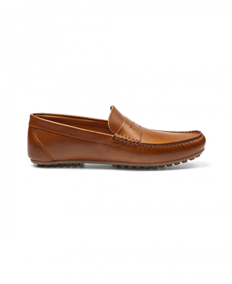 Mocassins Les Tropeziennes GASPARD Camel Homme|ZRNI-24604905